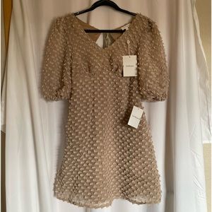 DARLING bohme size small short/mini dress!